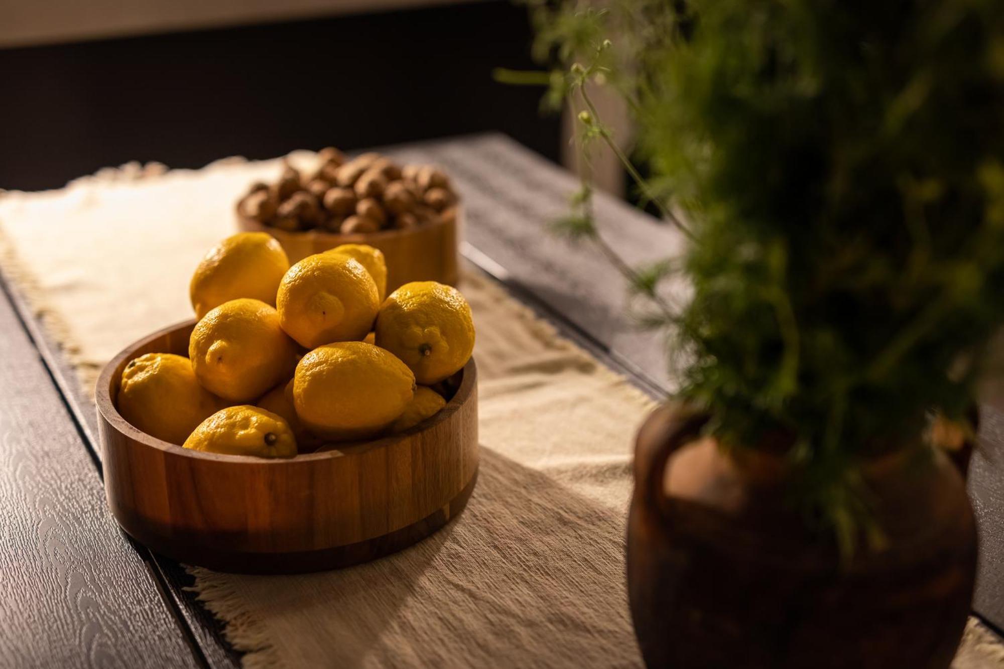 Grota Premium Apartment & Room Poreč Dış mekan fotoğraf